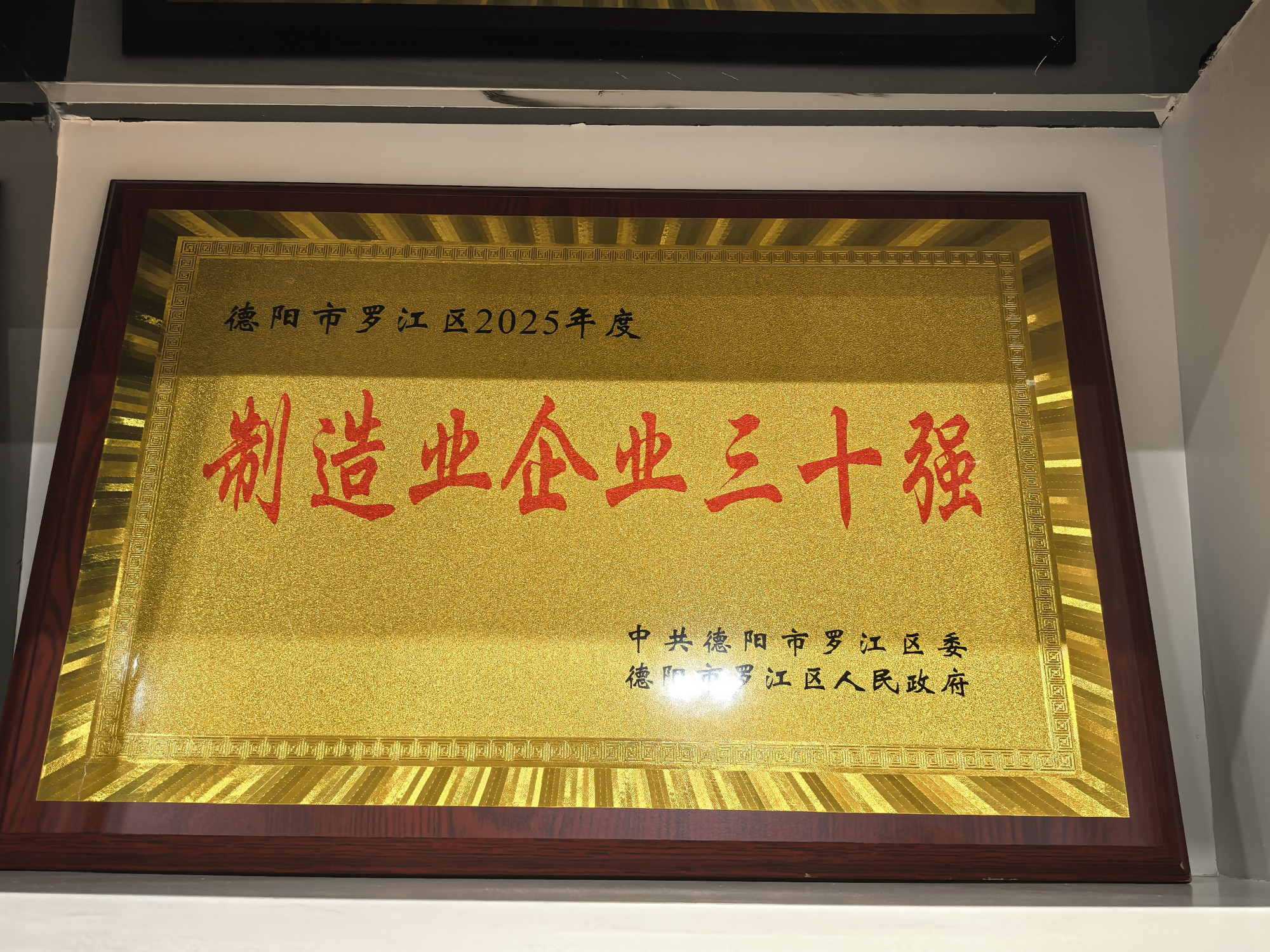德阳市罗江区制造业企业三十强(1)
