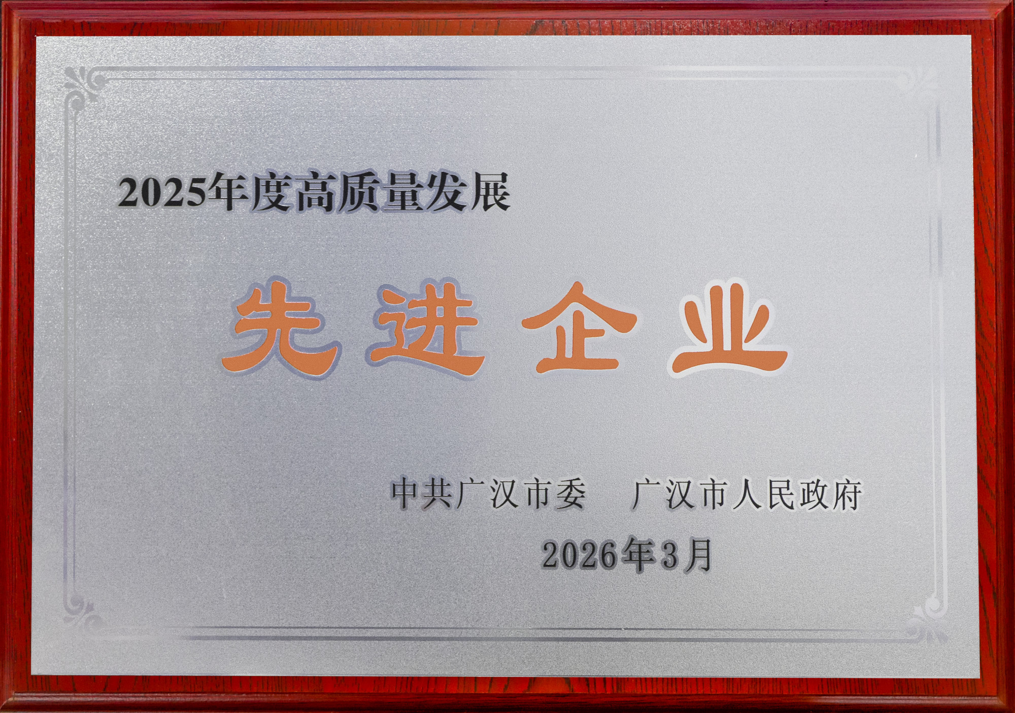 2025年度高质量发展先进企业
