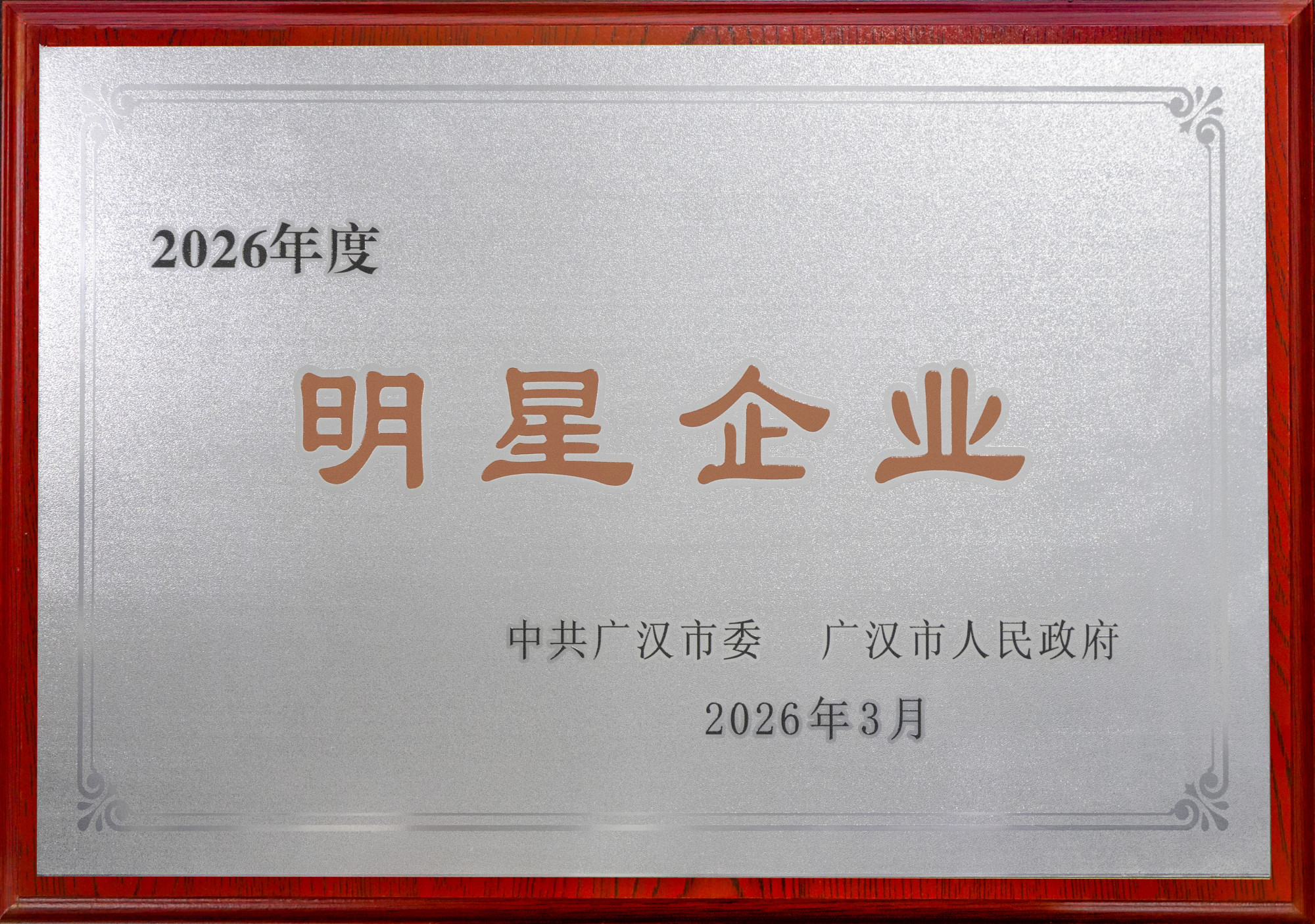 2026年度明星企业
