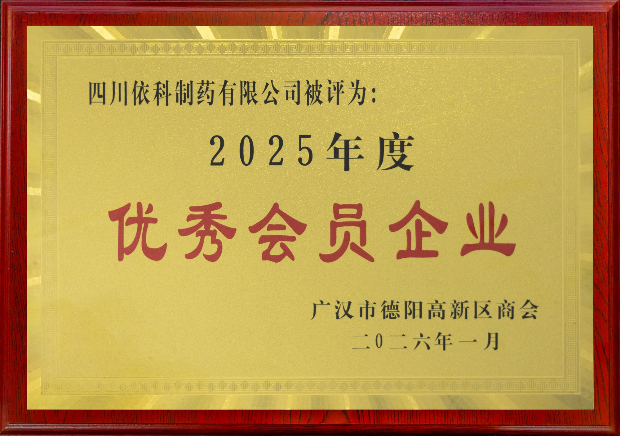 2025年度优秀会员企业