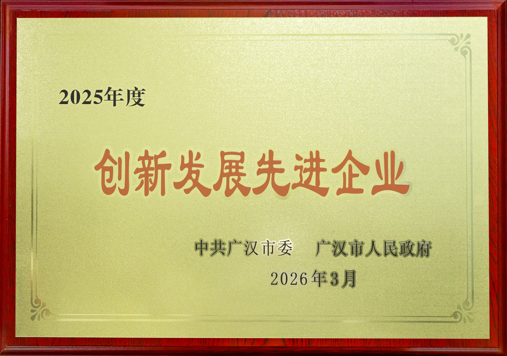2025年度创新发展先进企业