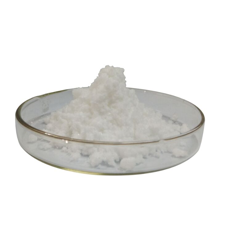 Vitamin D2 (Ergocalciferol)