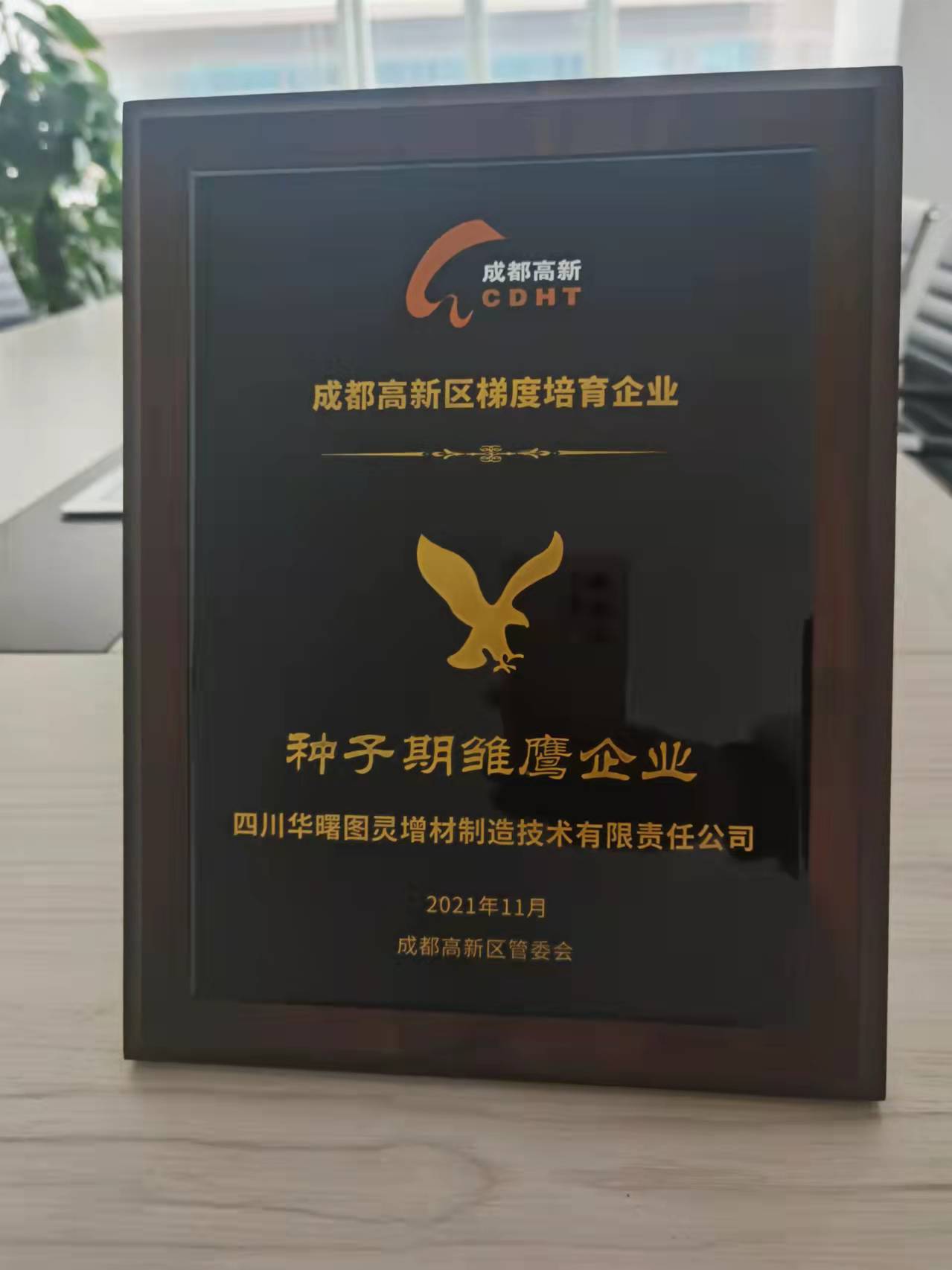 种子雏鹰企业