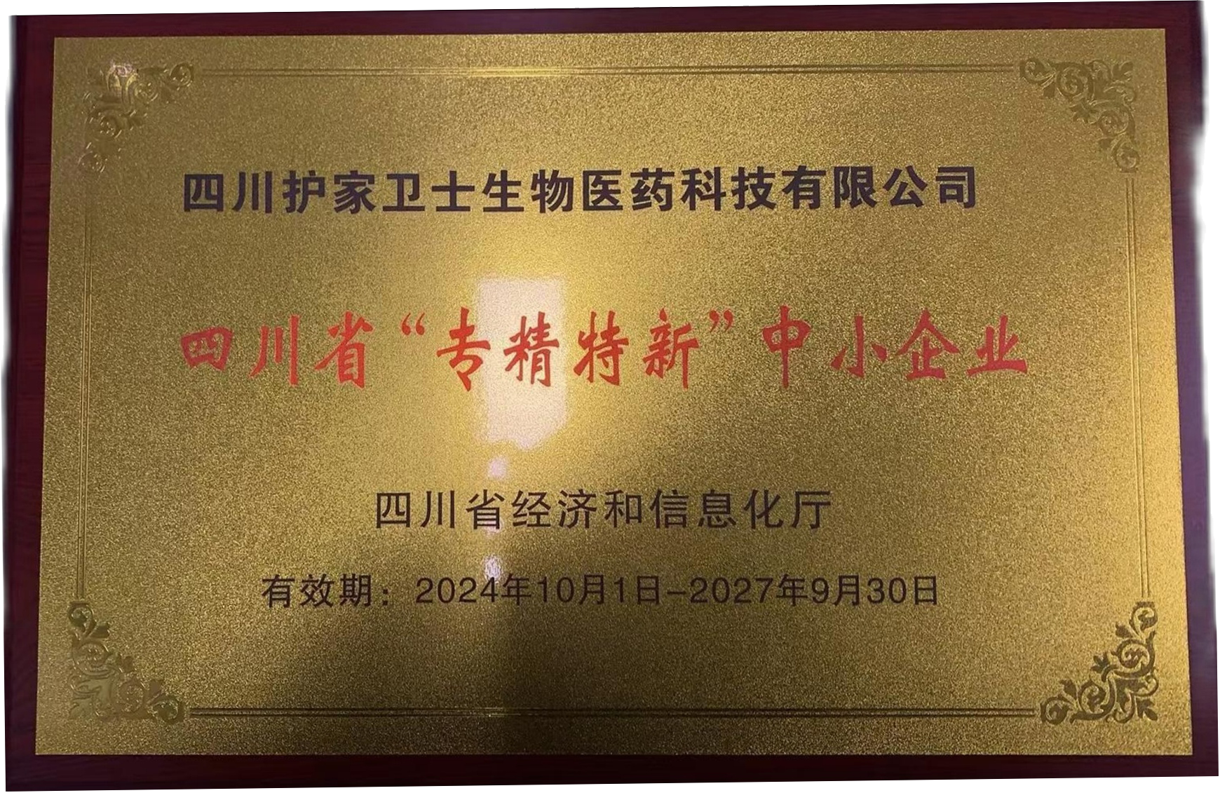 专精特新企业证书