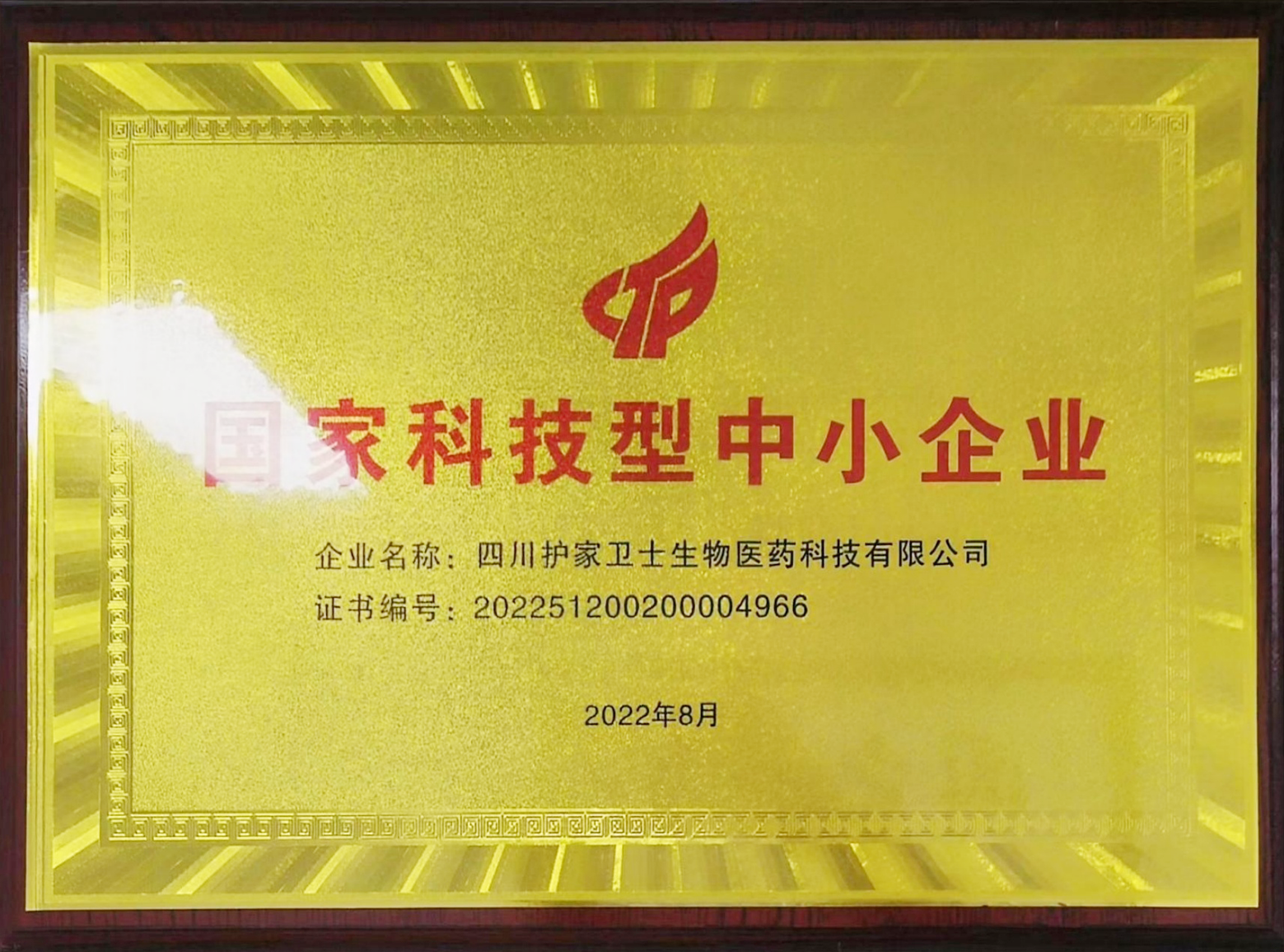 国家科技型中小企业证书