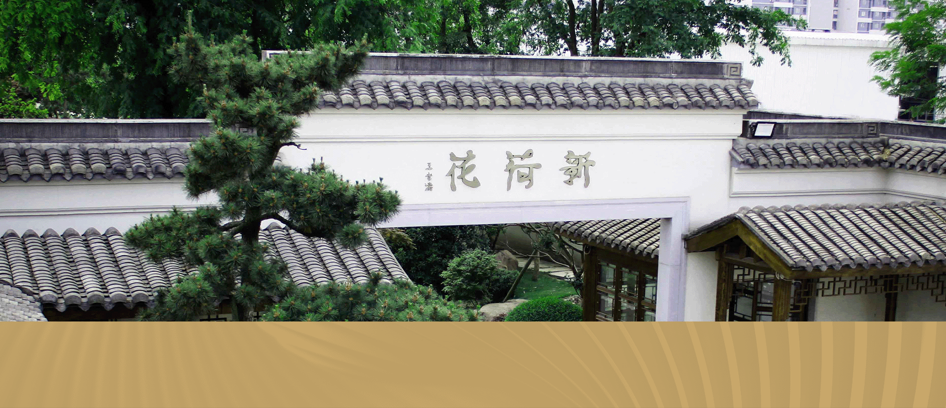 신허화