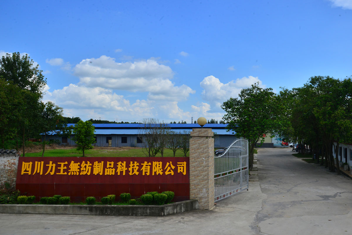 Sichuan Liwang Nonwoven Products Technology Co., Ltd. · Photo 1