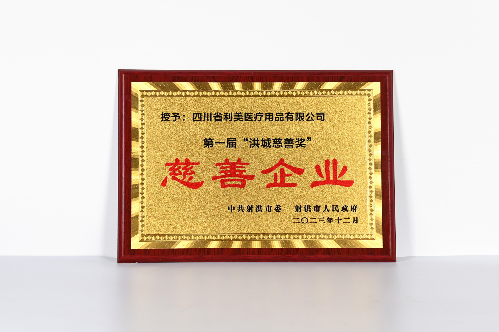 慈善企业