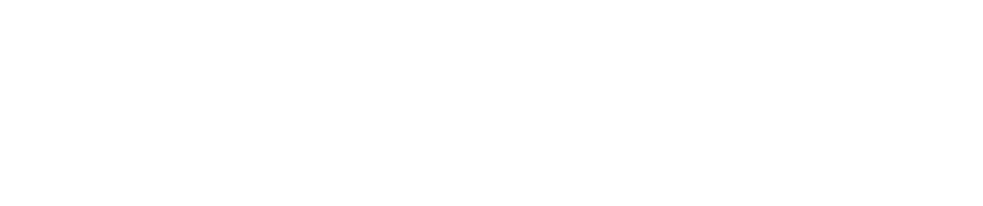 شرکت فناوری رووشوی شی‌شا چنگدو (ROSESELSA)