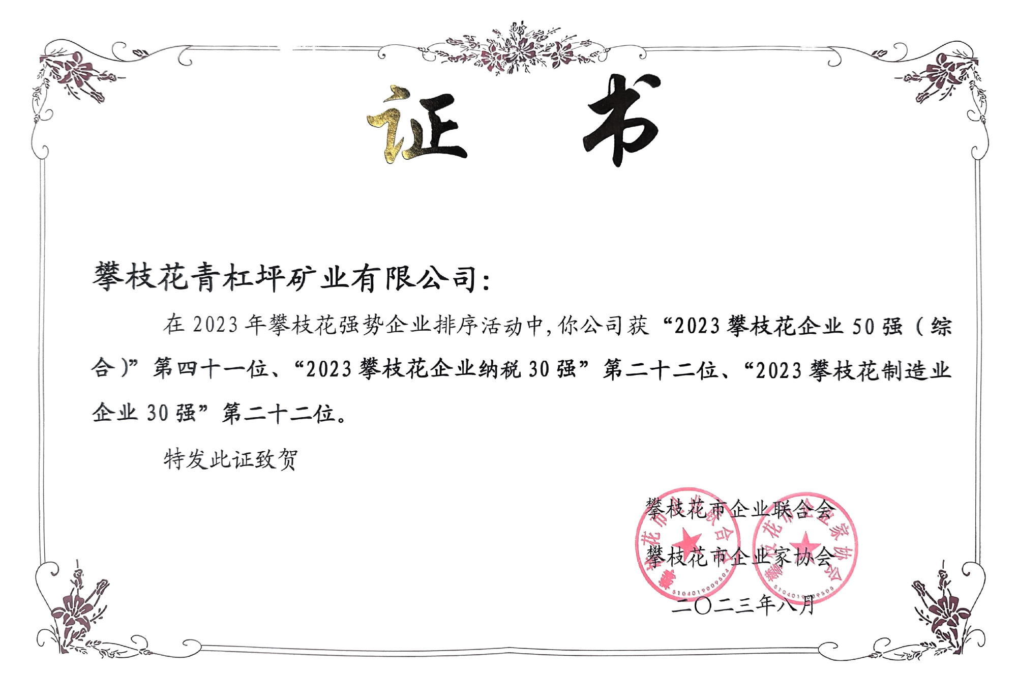 2023年攀枝花企业50强