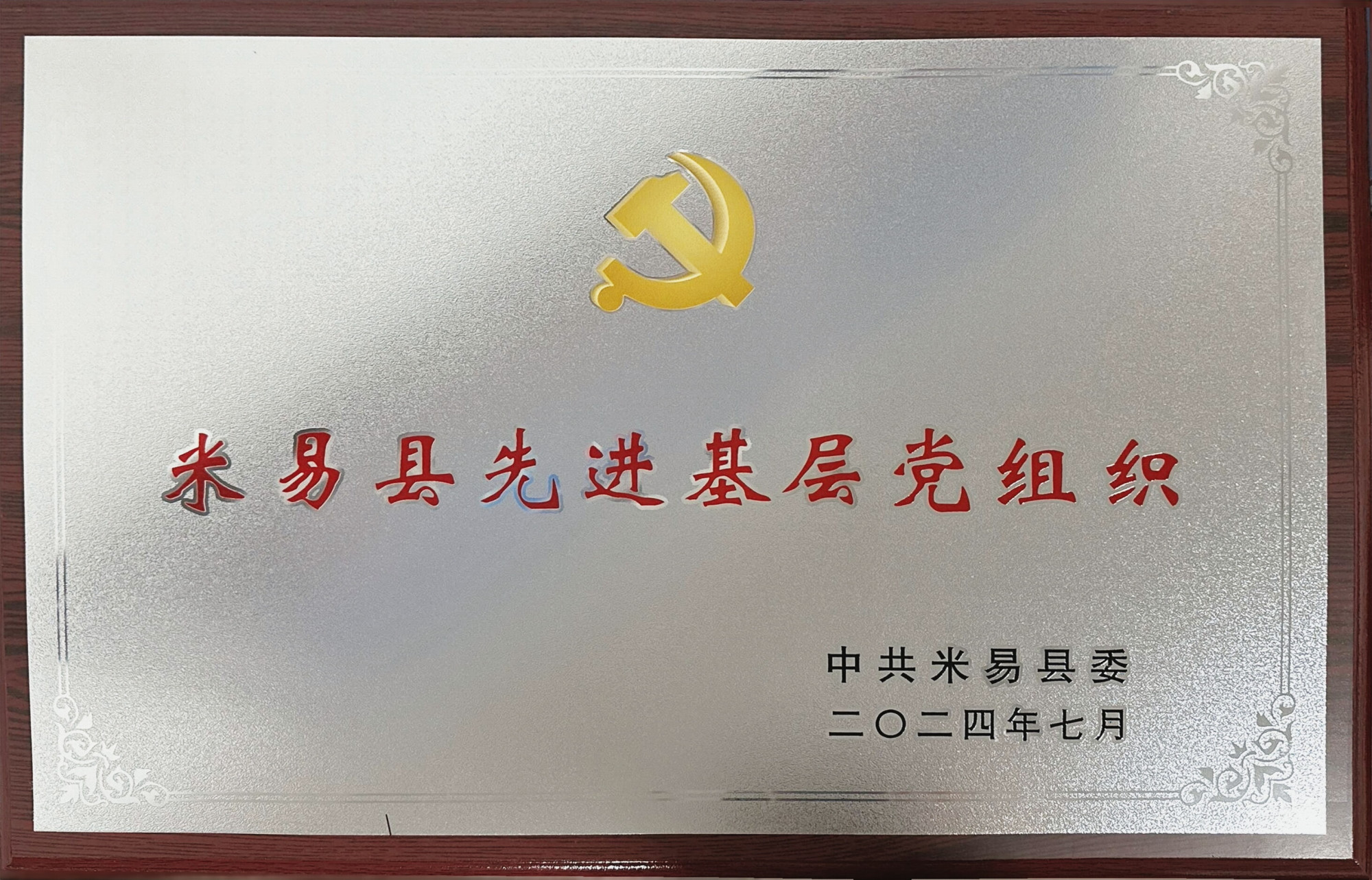 2023年先进基层党组织