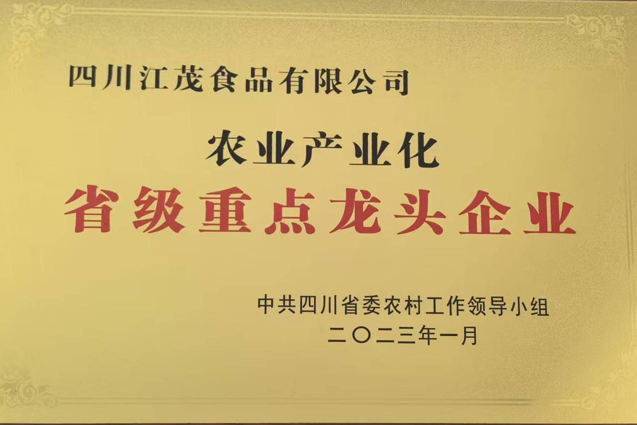 省级龙头
