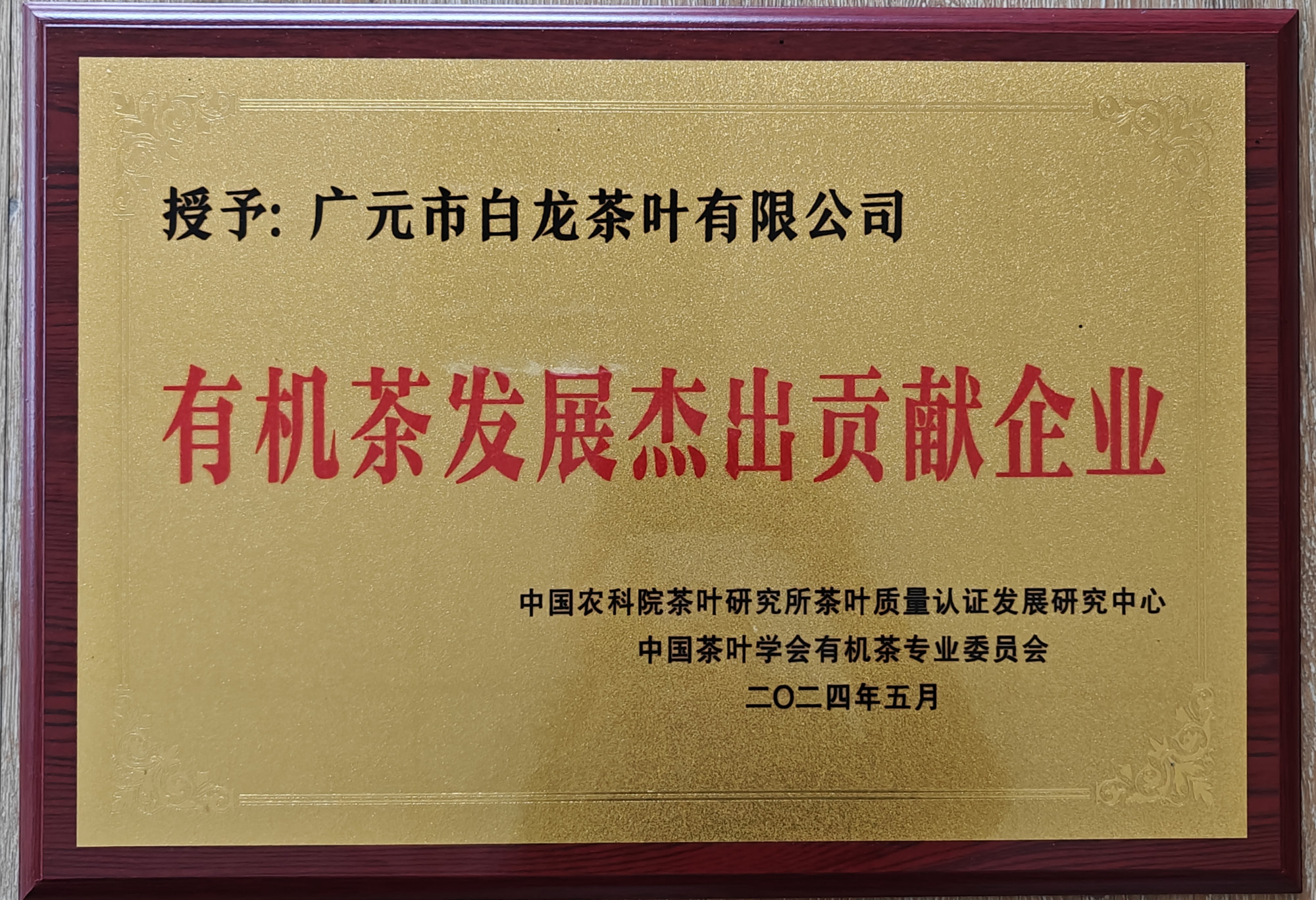 微信图片_20241112100040