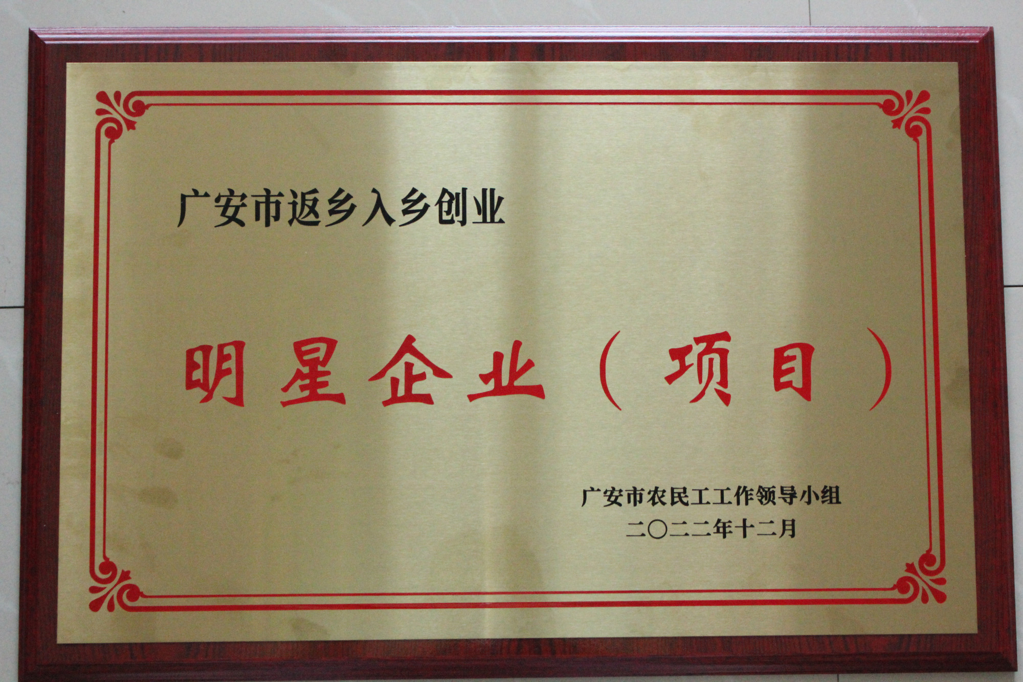 广安市返乡入乡创业明星企业