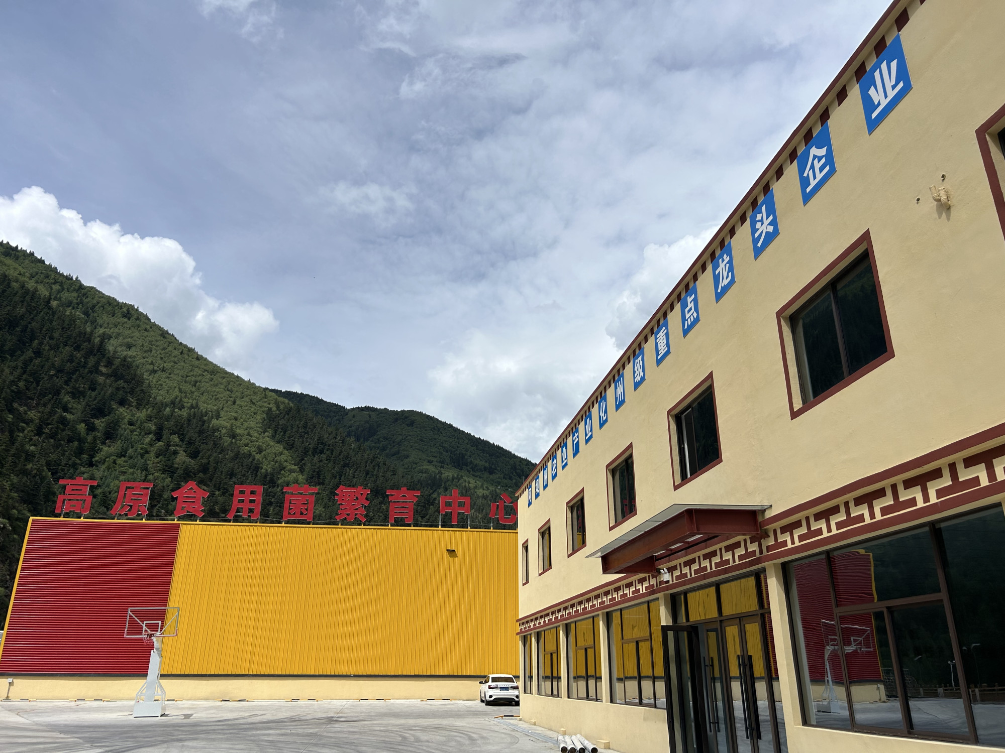 Rangtang Jiufu Comprehensive Agricultural Development Co., Ltd. · Photo 1