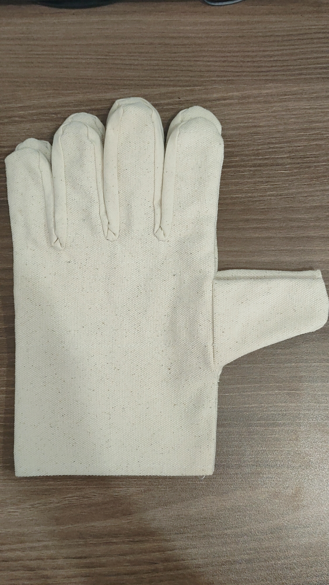 Canvas-Handschuhe
