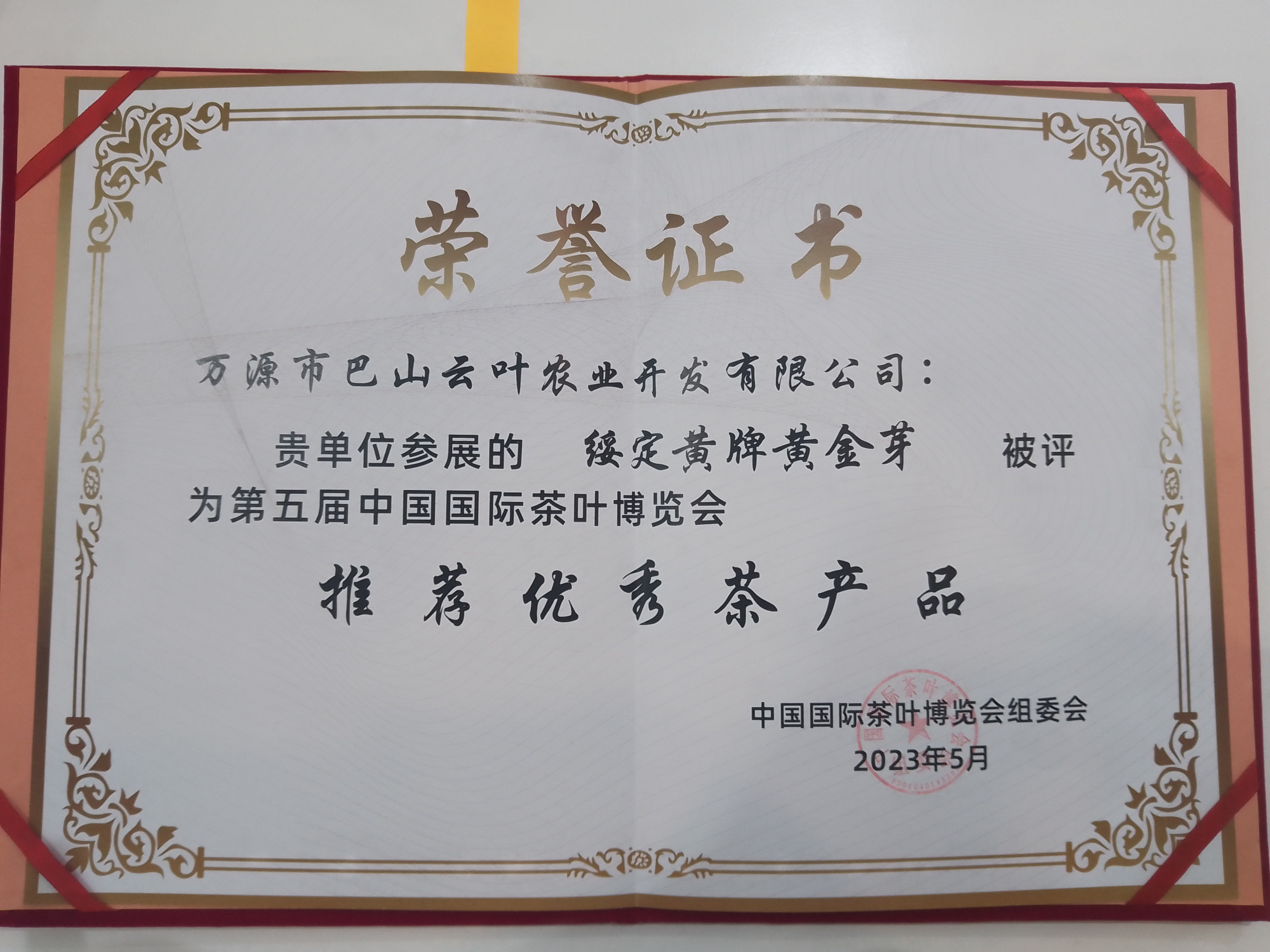 黄金芽2023年国家级奖