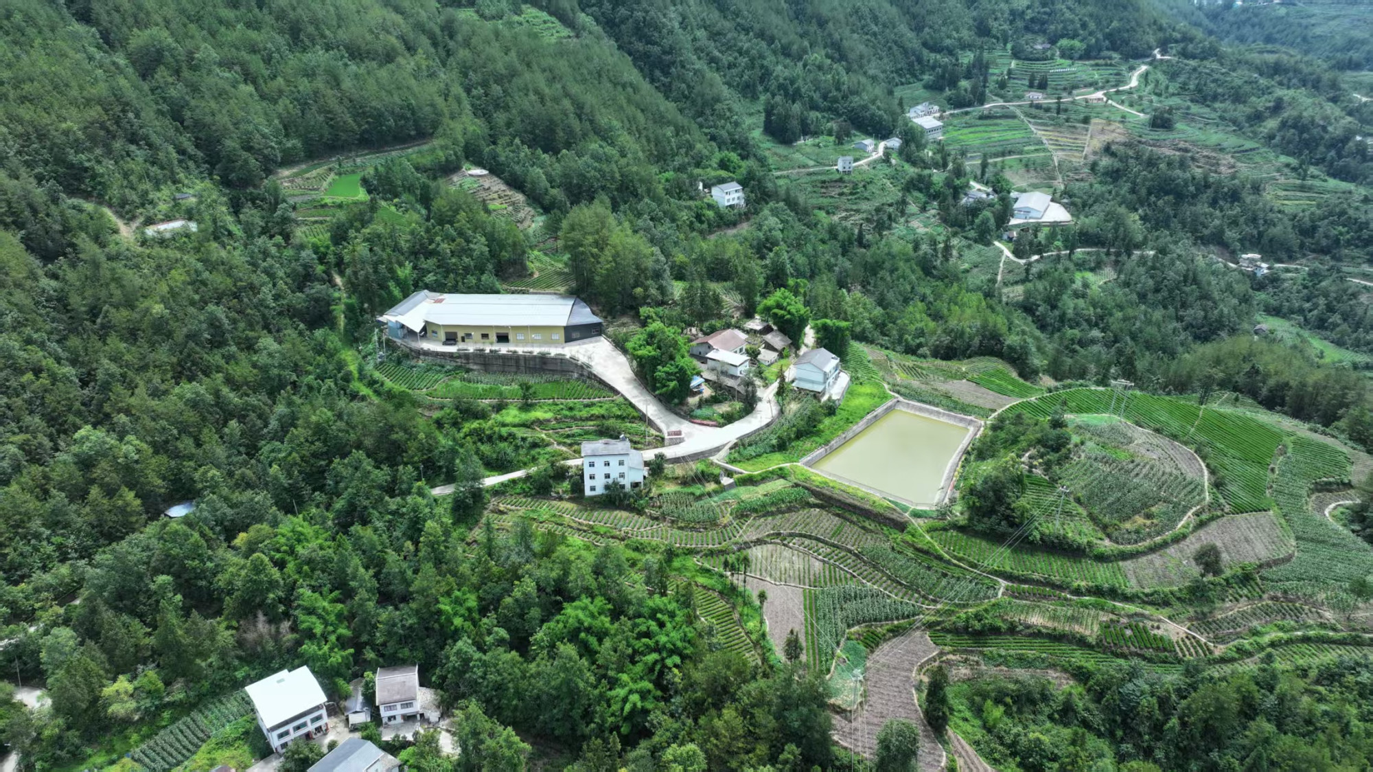 만위안시 바산윈예 농업개발 유한공사 · Photo 4