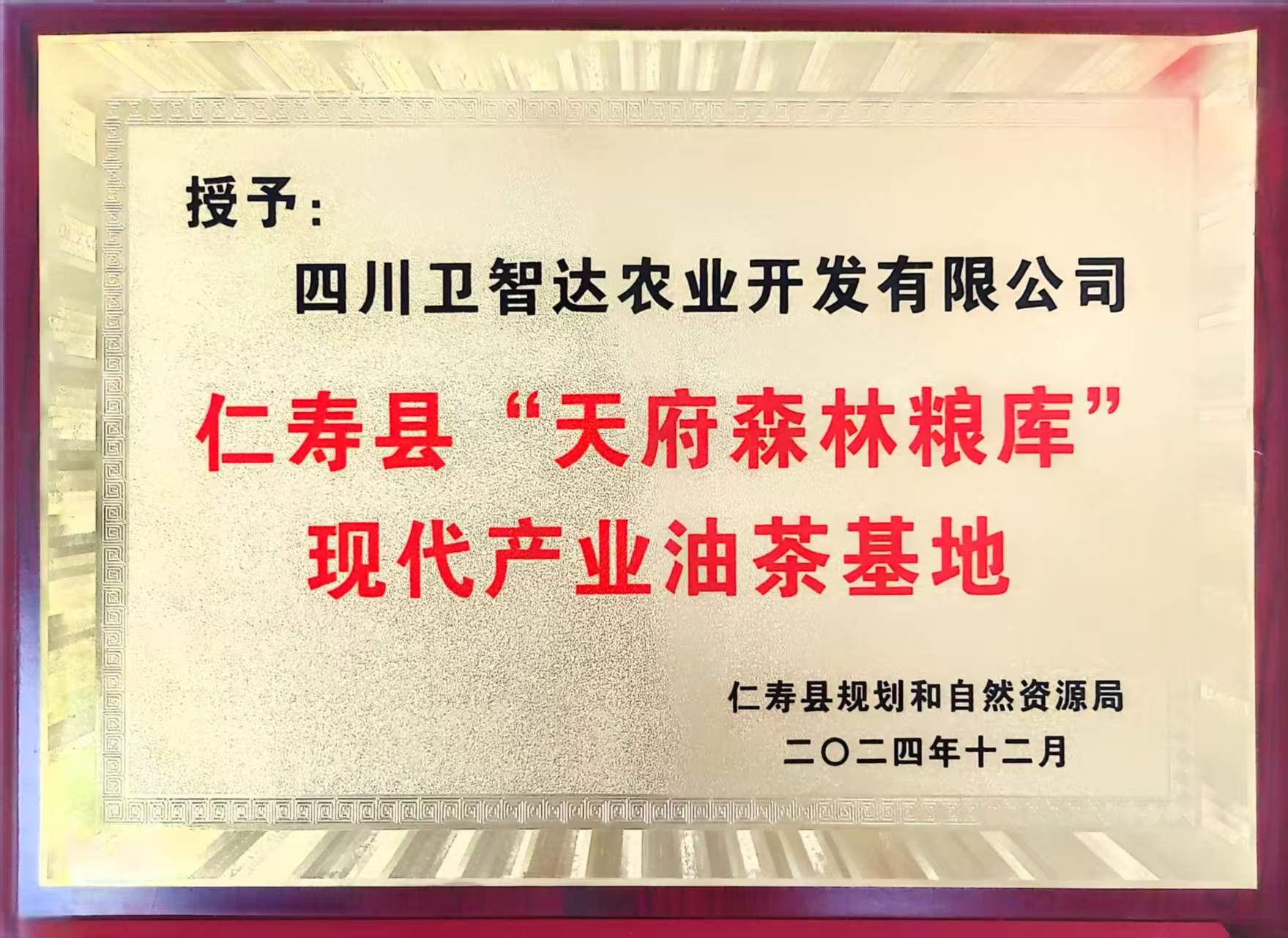 仁寿县“天府森林粮库”现代产业油茶基地