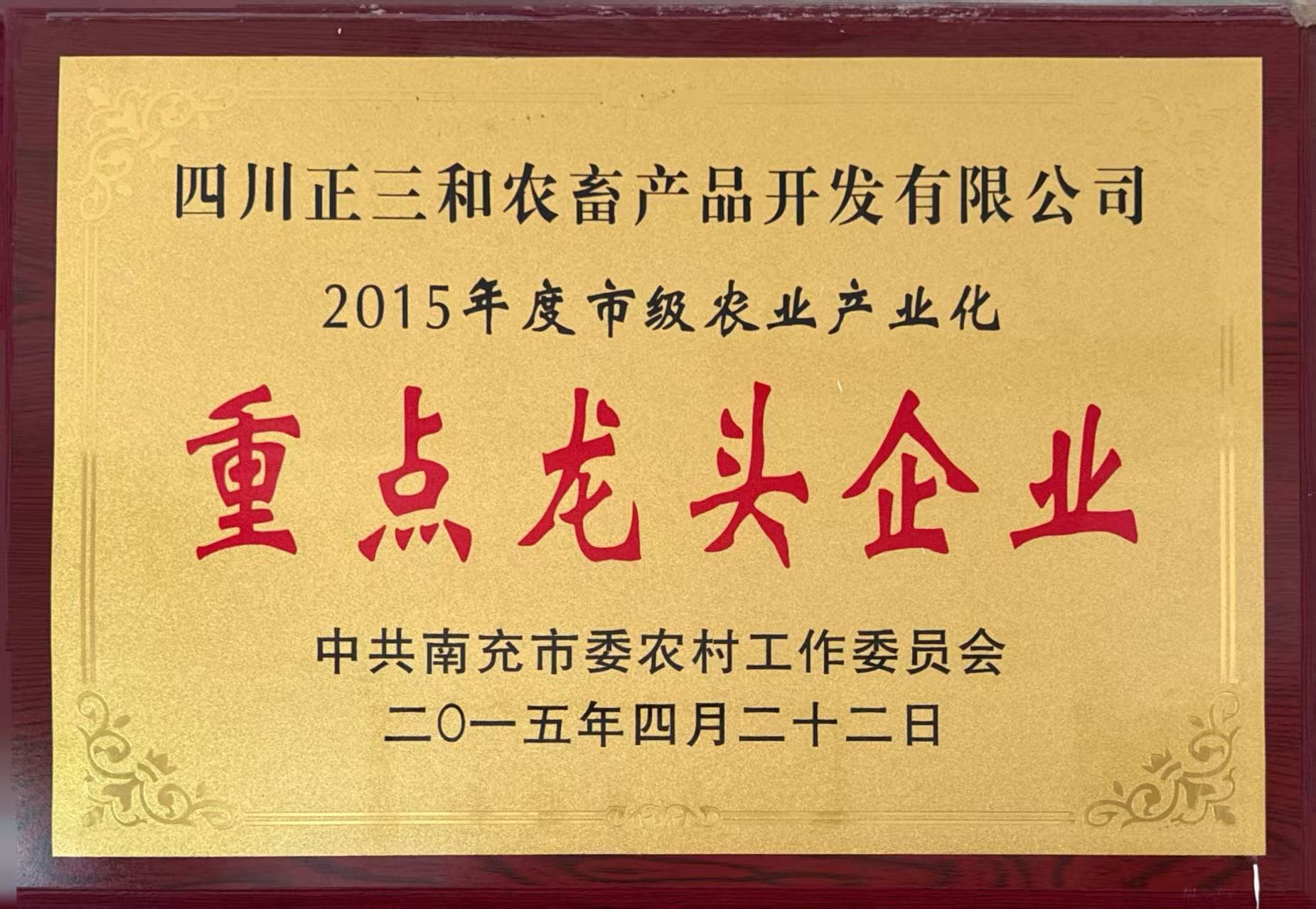 重点龙头企业