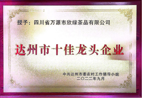 达州市十佳龙头企业