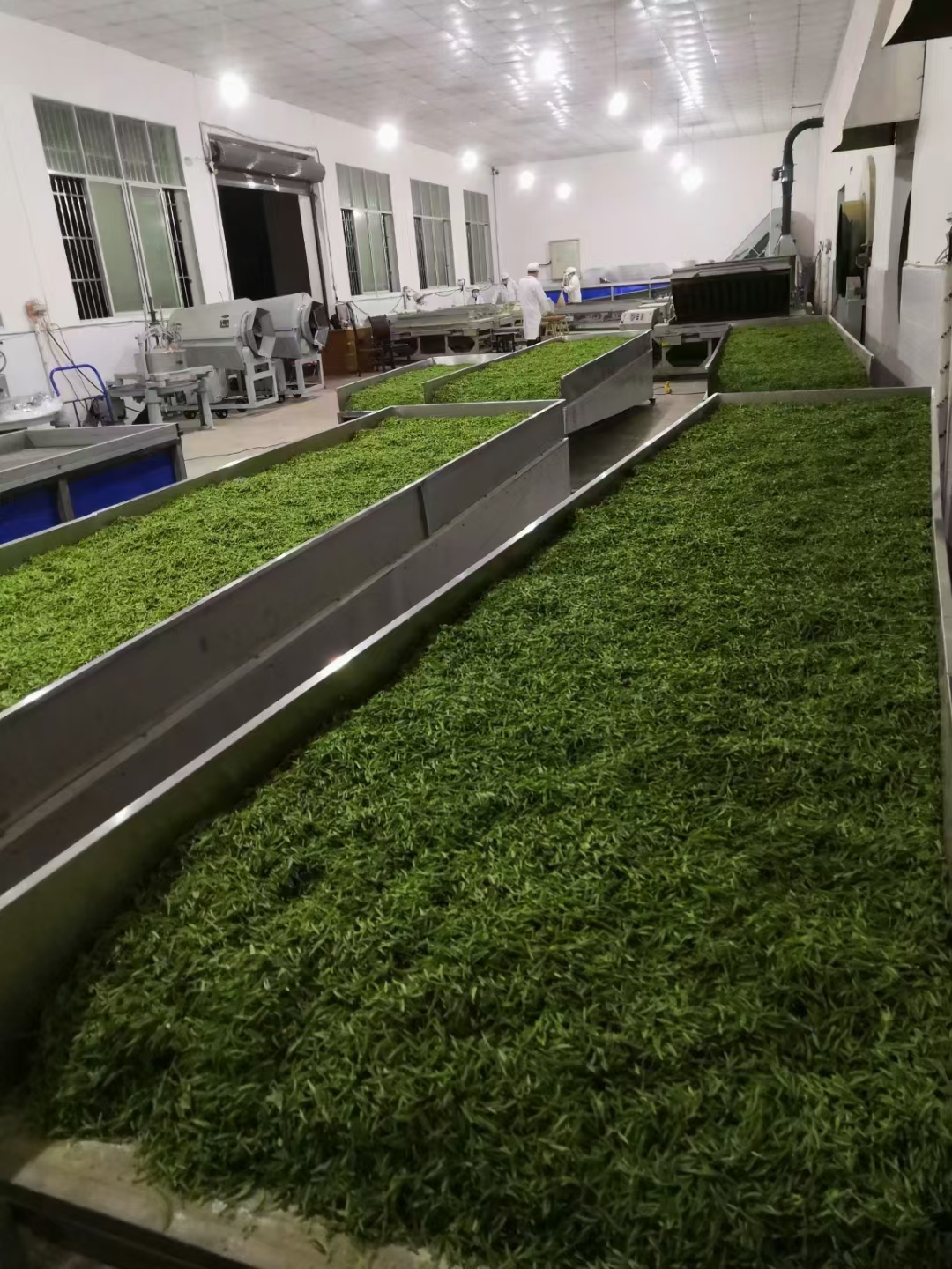 Sichuan Wanyuan Xinlv Tea Products Co., Ltd. · Photo 2