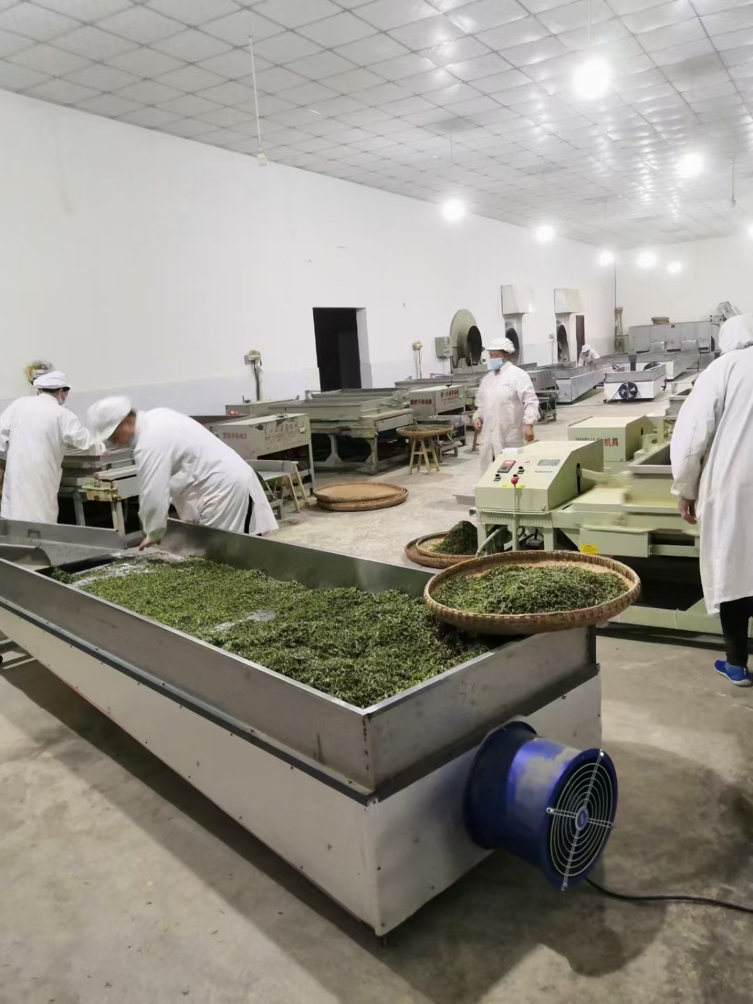 Sichuan Wanyuan Xinlv Tea Products Co., Ltd. · Photo 3