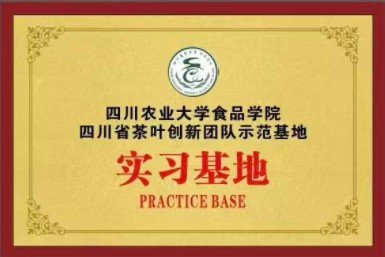 川农实习基地