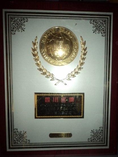 2009年四川名牌