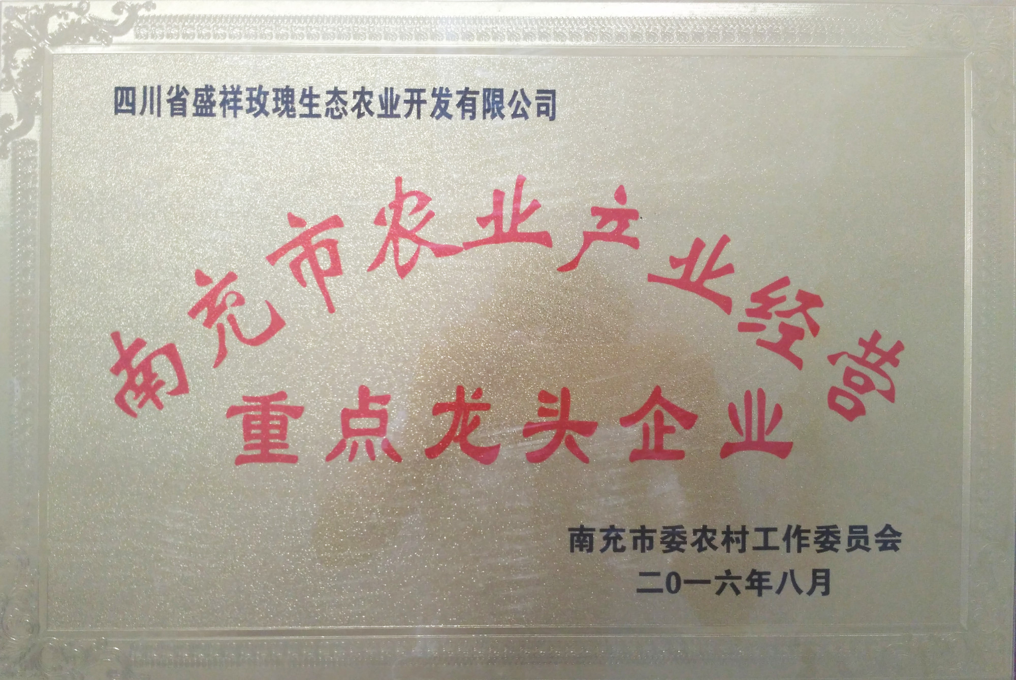 12.南充市重点龙头企业 拷贝