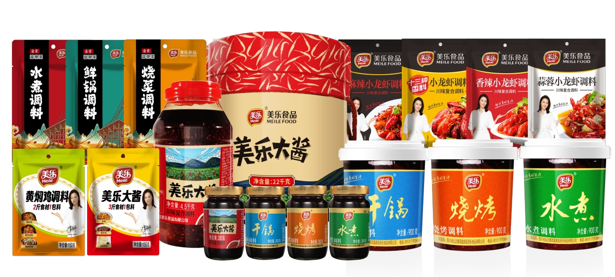 Ein-Sauce-ein-Gericht Funktionssauce