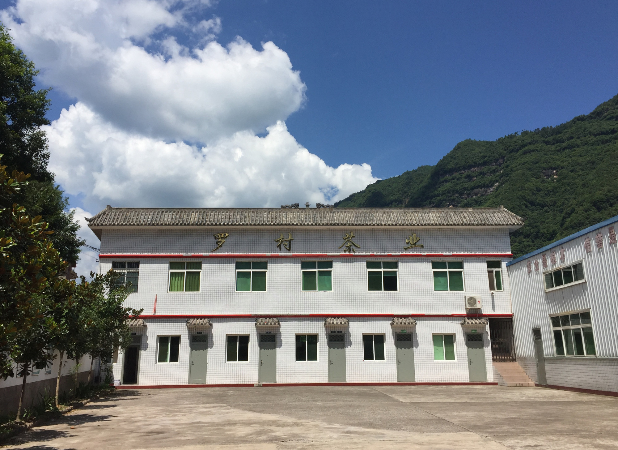 Sichuan Tongjiang Luocun Tea Industry Co., Ltd. · Photo 3