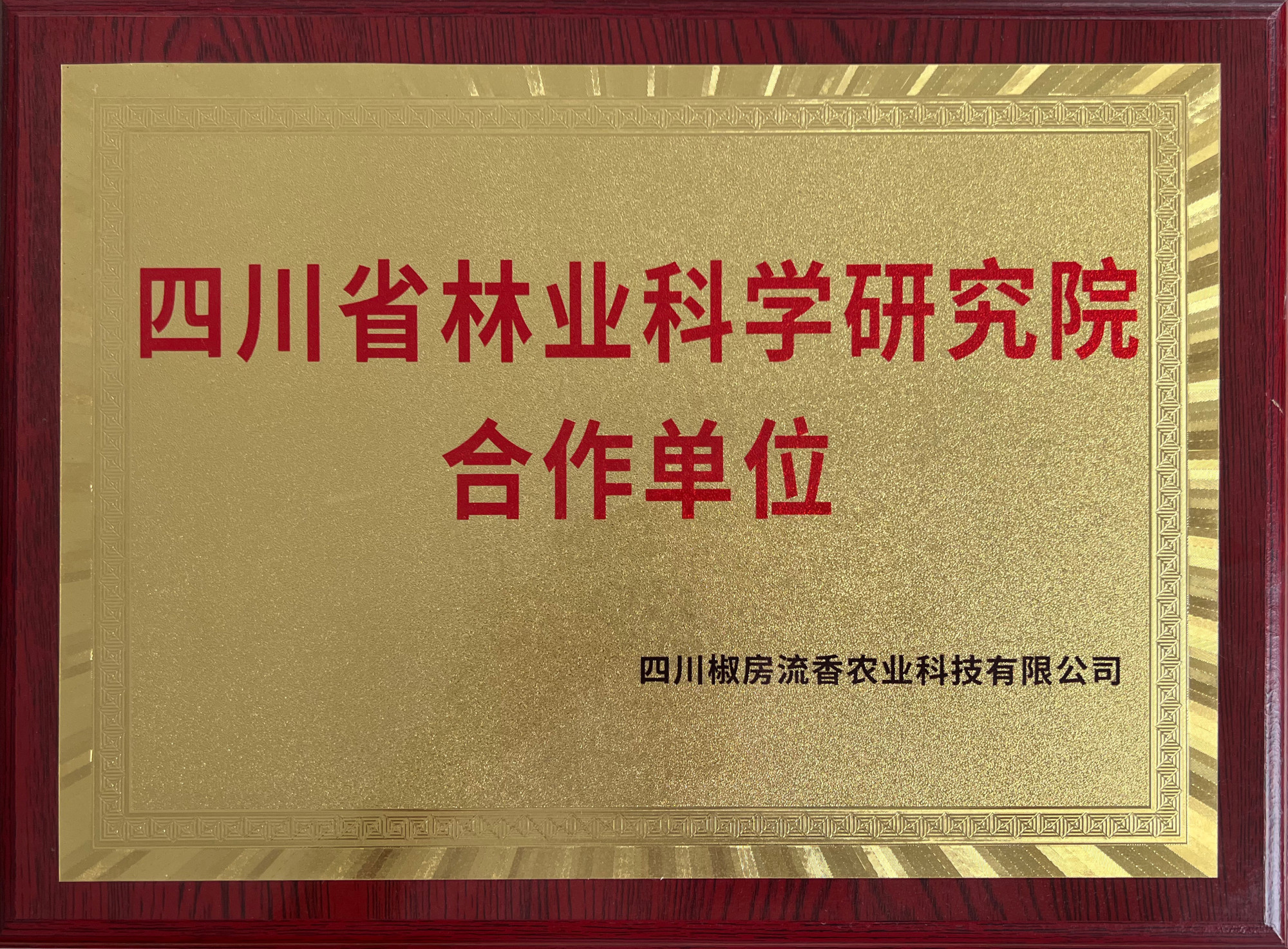 四川省林业科学研究院合作单位
