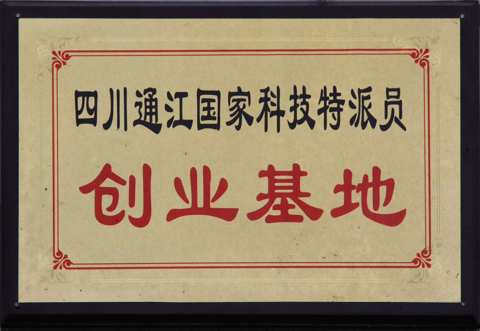 国家科技特派员创业基地