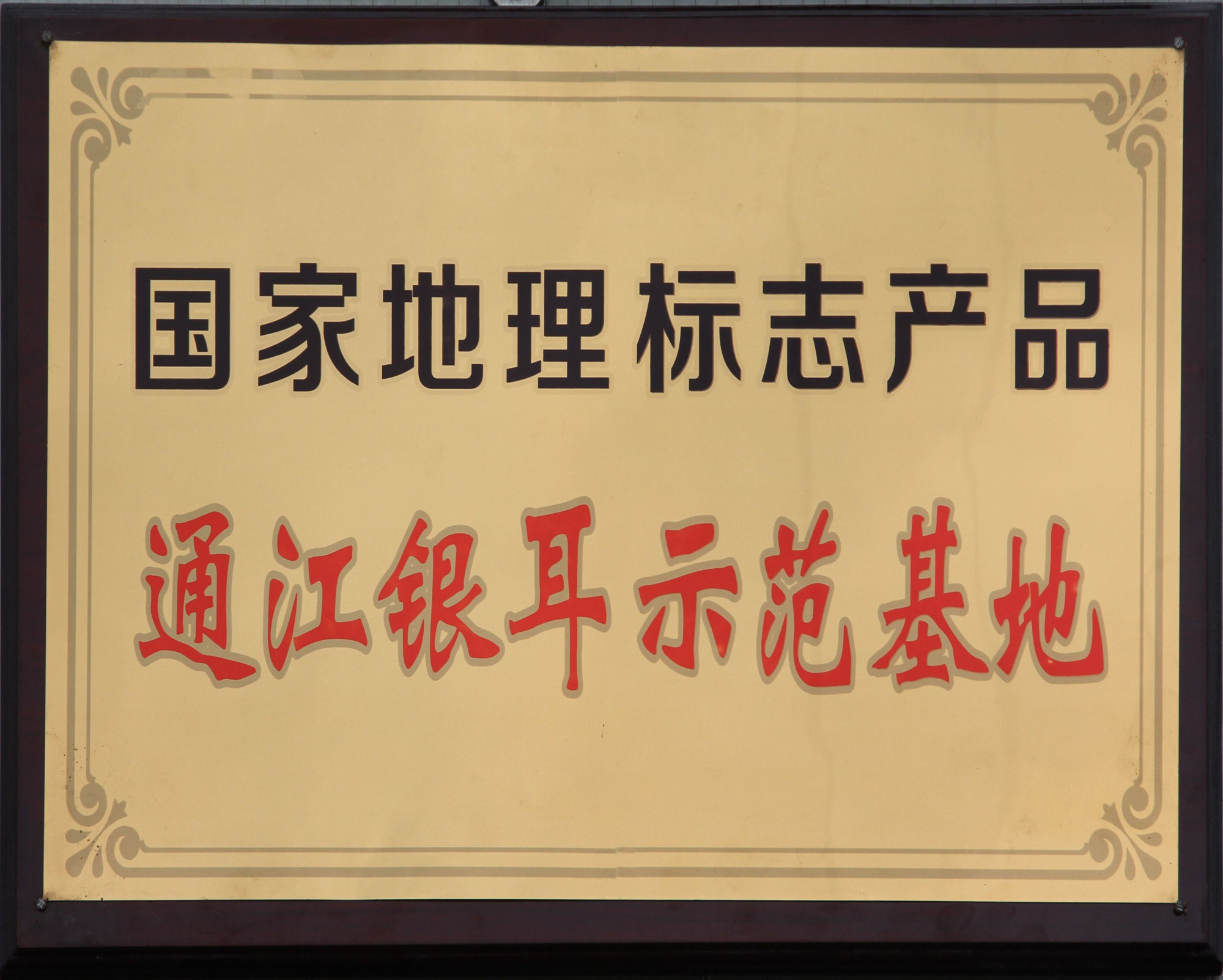 国家地理标志产品