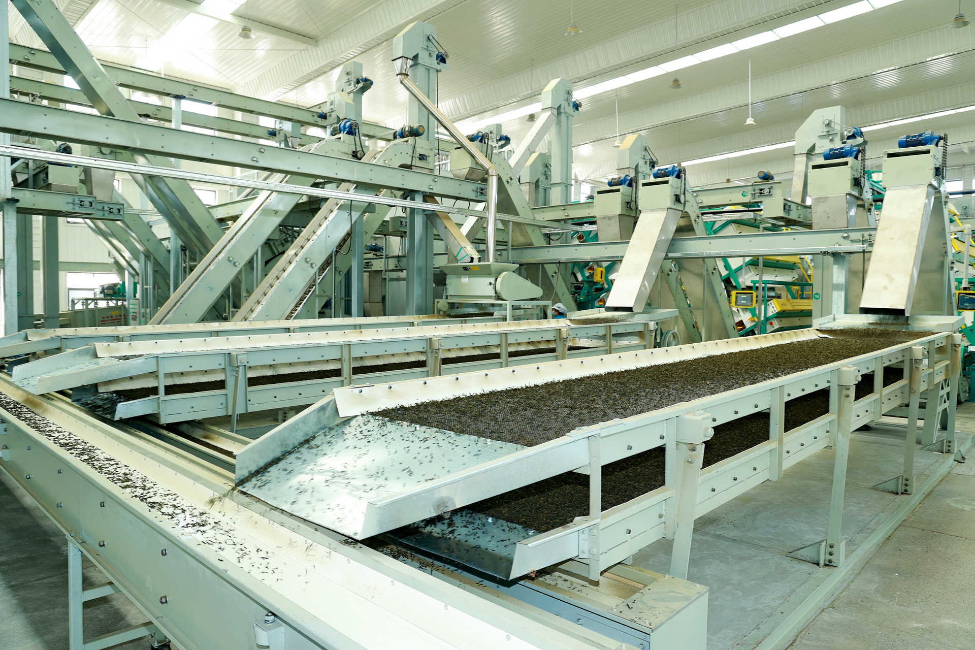 Zigong Chunlan Tea Industry Co., Ltd. · Photo 2