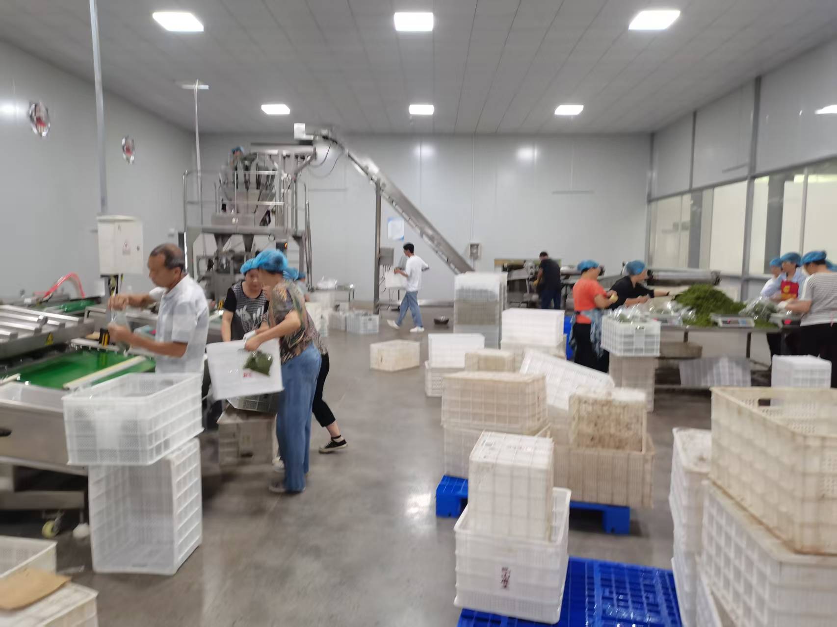 Tongjiang Bashan Mawang Chinese Prickly Ash Co., Ltd. · Photo 2