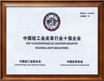 18_荣誉证书