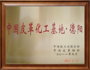 19_荣誉证书