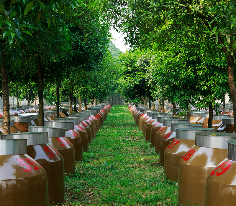Mianzhu Fengchun Liquor Industry Co., Ltd. · Photo 6