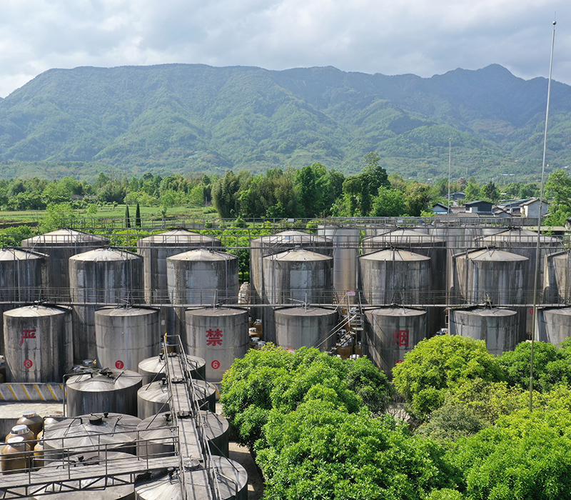 Mianzhu Fengchun Liquor Industry Co., Ltd. · Photo 2