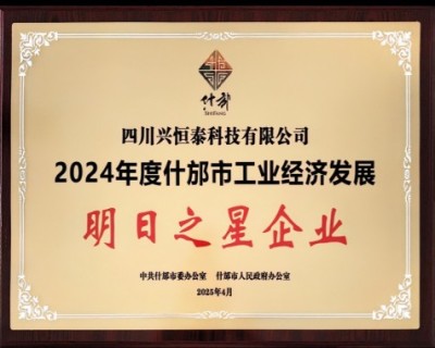 01_明日之星企业