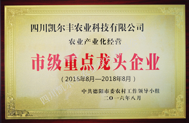 07_市级______龙头企业