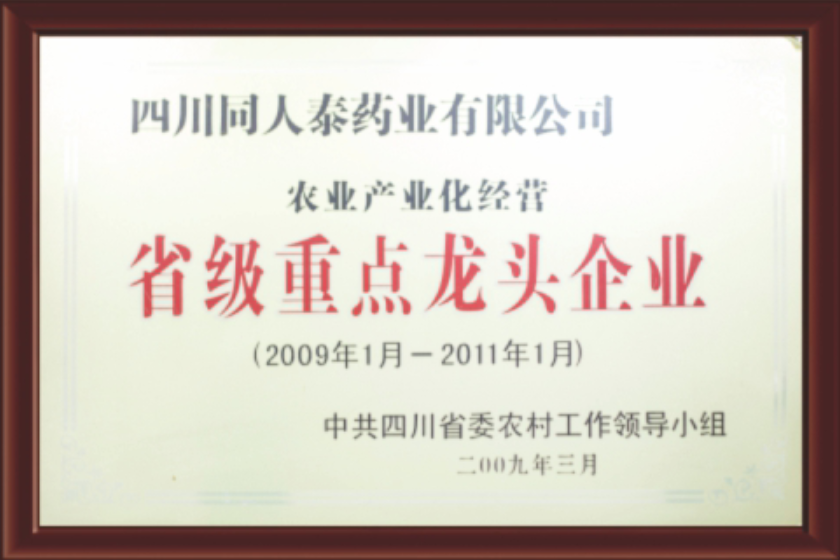 01_资质荣誉