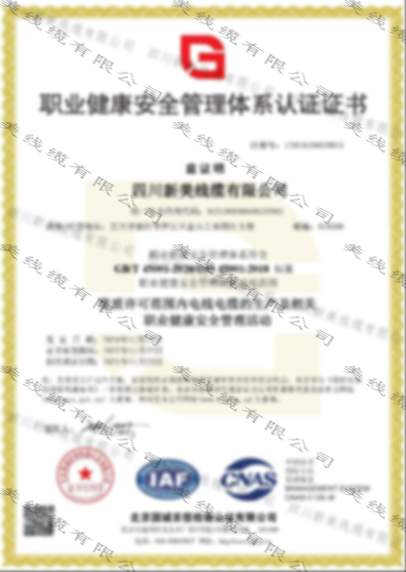09_职业健康安全管理体系认证证书