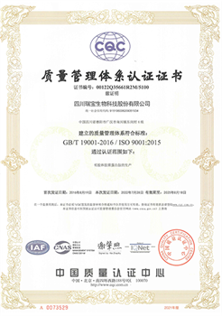 04_guojizhengshu4