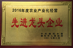 16_企业荣誉