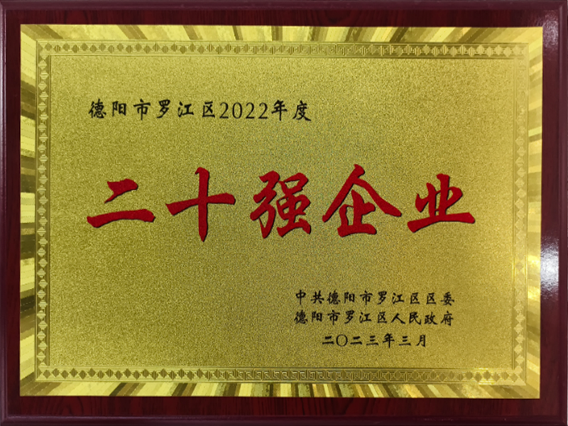 二十强企业