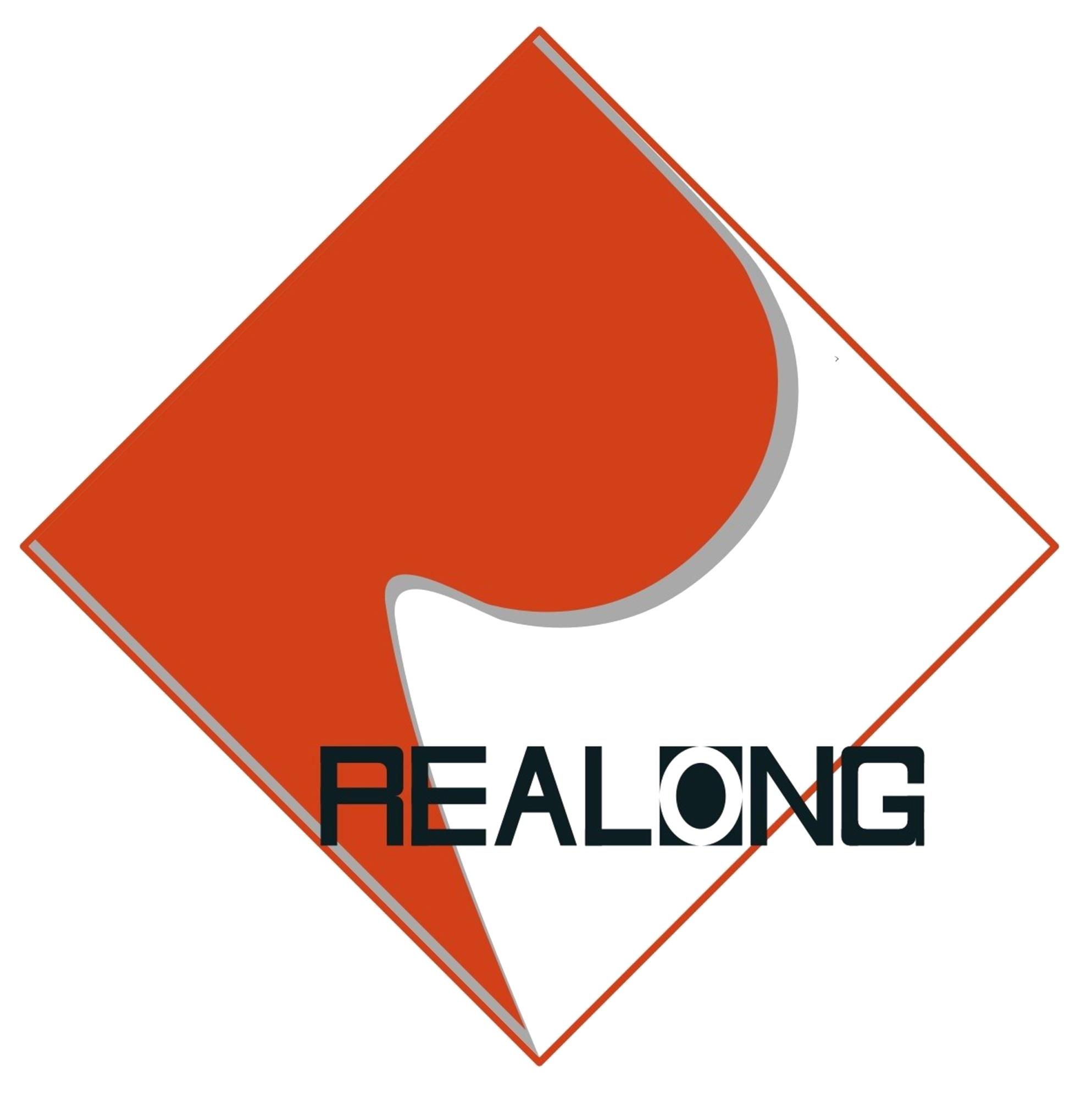 شرکت ساخت ماشین آلات Ruilong دييانگ