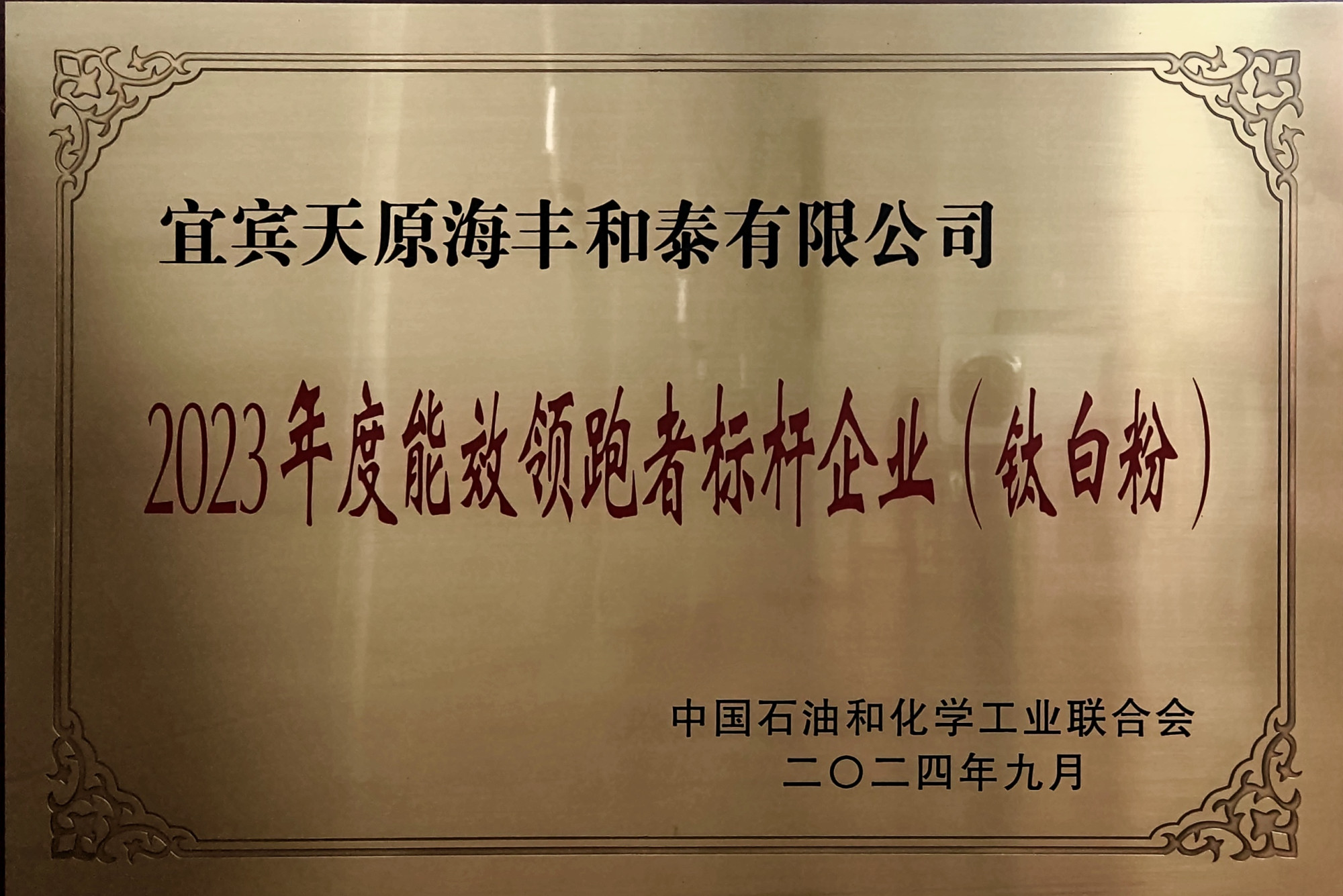 50-2023年度能效领跑者标杆企业（钛白粉）-2024年9月-